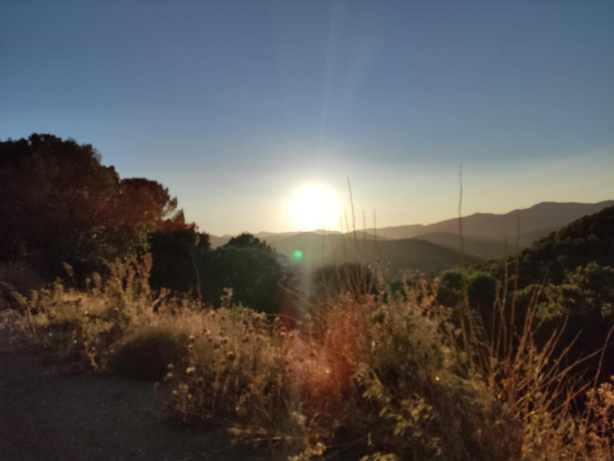 Casa Petra : Bonita Casa Rural En Yunquera エクステリア 写真